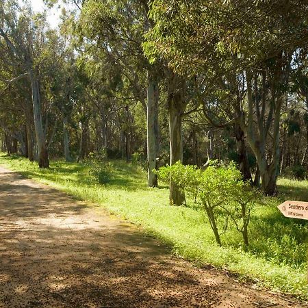 Casa Vacanza Platani Villa Ribera Dış mekan fotoğraf